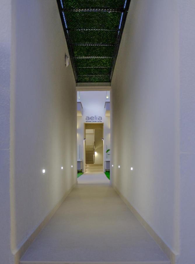 Aelia Seaside Luxury Suites 内亚卡瓦里 外观 照片